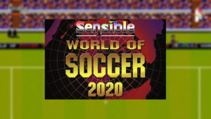 sensible soccer